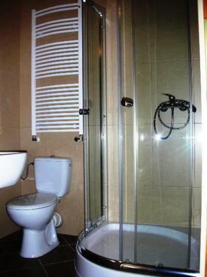 Apartamenty U Lutnika Centrum ザコパネ エクステリア 写真