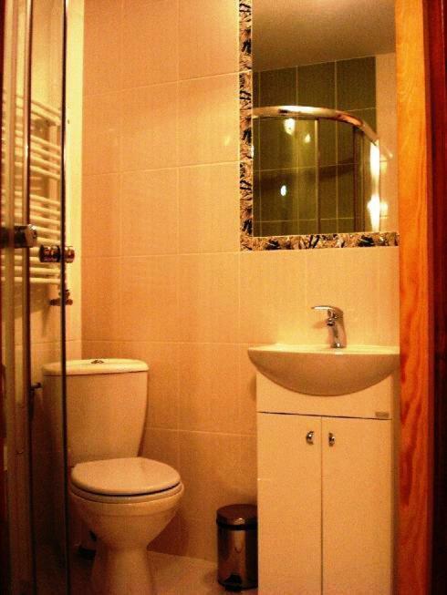 Apartamenty U Lutnika Centrum ザコパネ エクステリア 写真