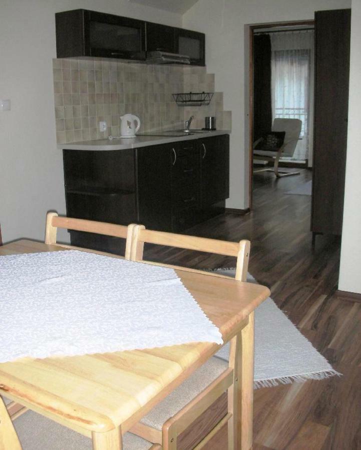 Apartamenty U Lutnika Centrum ザコパネ エクステリア 写真