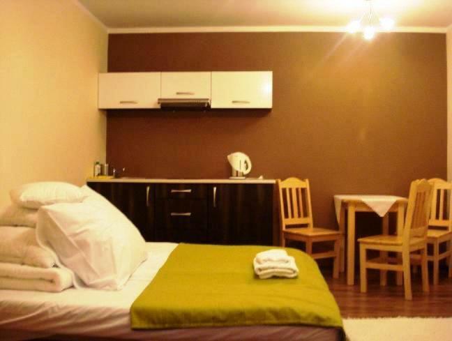 Apartamenty U Lutnika Centrum ザコパネ エクステリア 写真